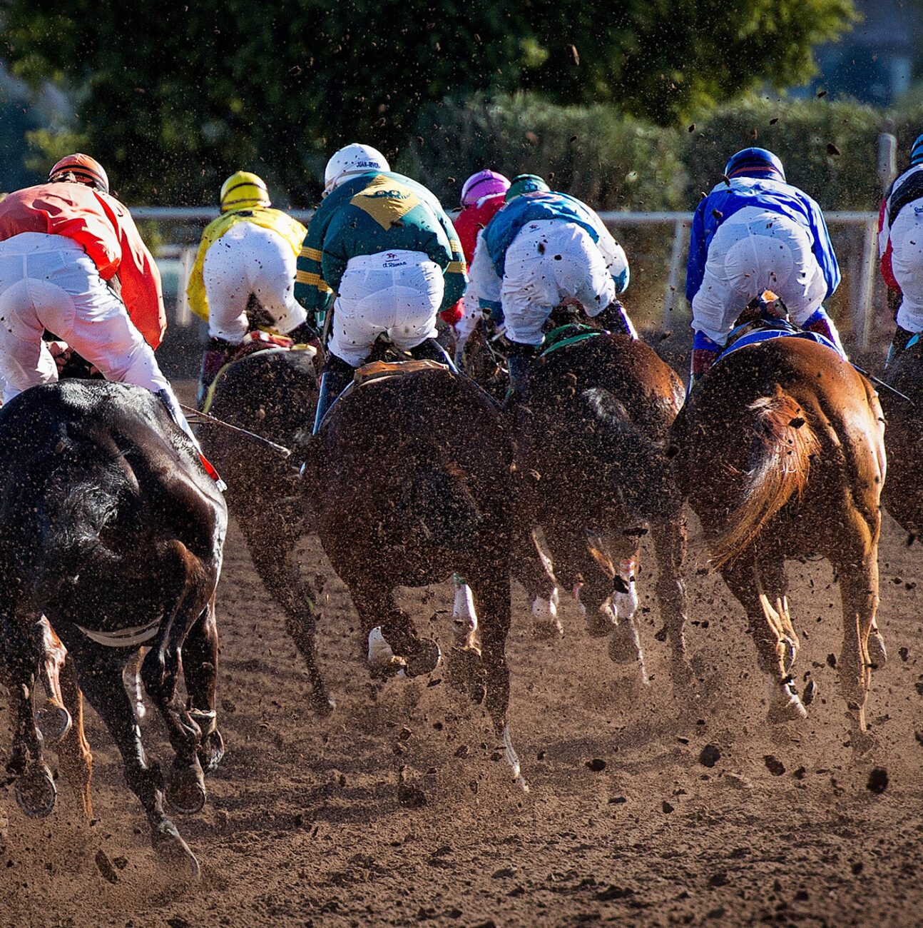 Horse Races Near Alta Rolling Oaks